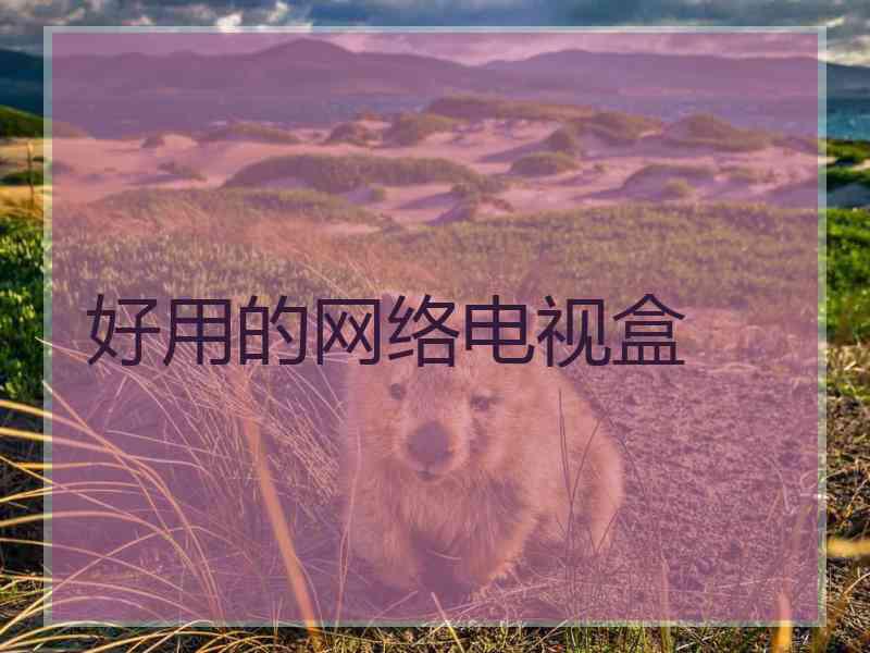 好用的网络电视盒