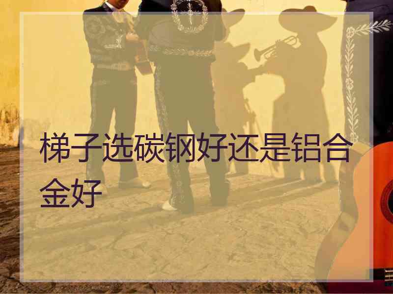 梯子选碳钢好还是铝合金好