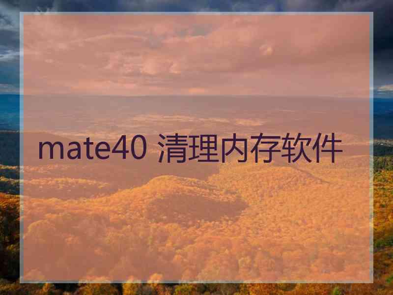 mate40 清理内存软件