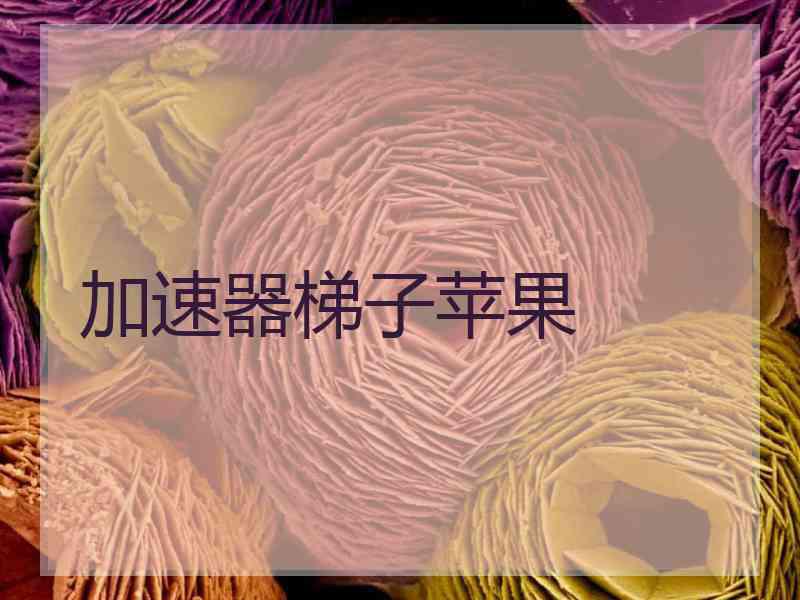 加速器梯子苹果