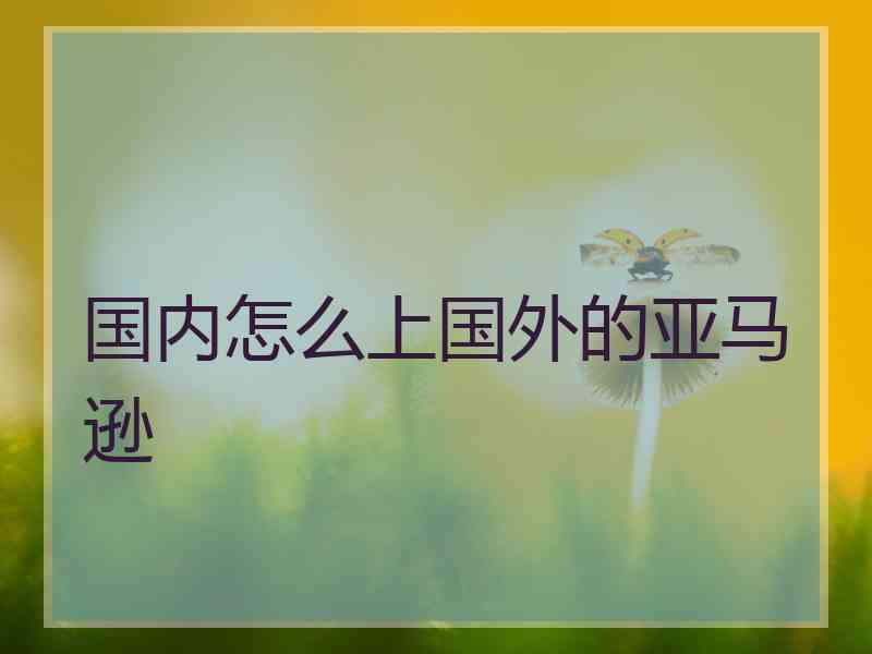 国内怎么上国外的亚马逊