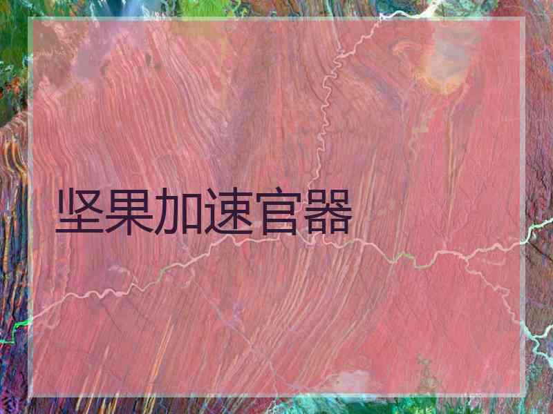 坚果加速官器