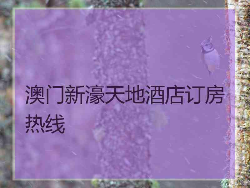 澳门新濠天地酒店订房热线