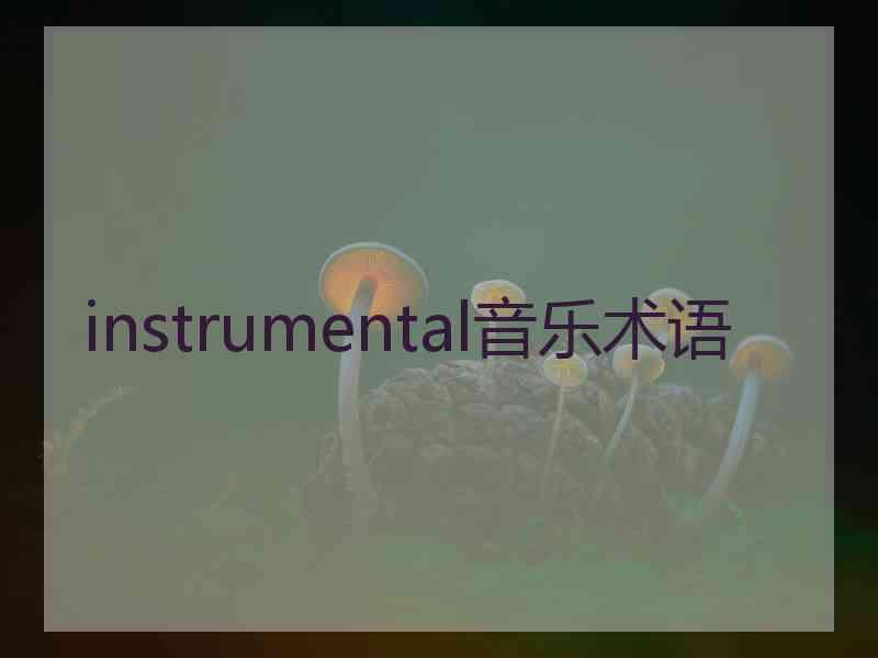 instrumental音乐术语