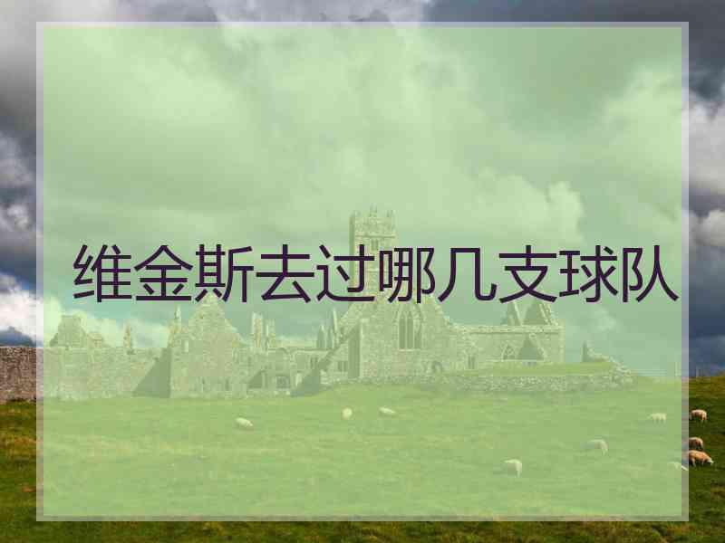 维金斯去过哪几支球队