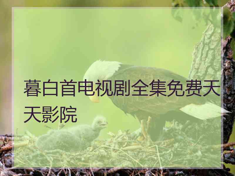 暮白首电视剧全集免费天天影院