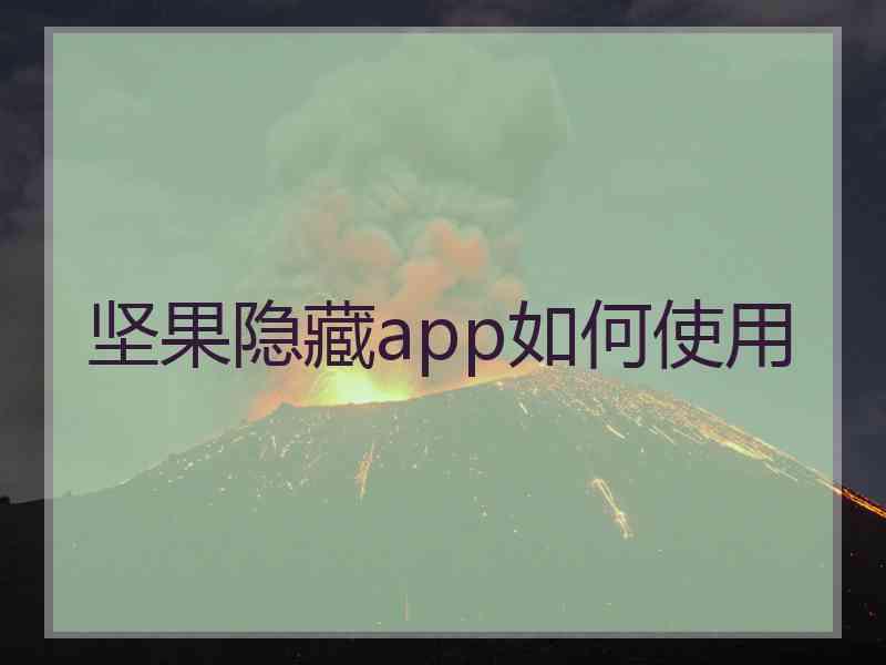 坚果隐藏app如何使用