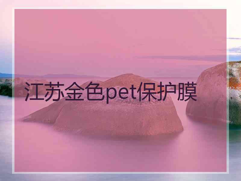 江苏金色pet保护膜