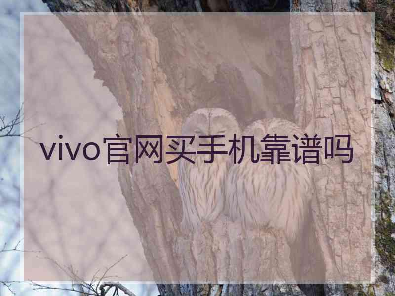 vivo官网买手机靠谱吗