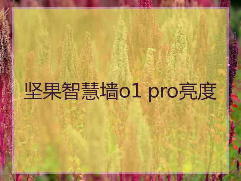 坚果智慧墙o1 pro亮度