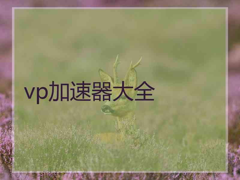 vp加速器大全
