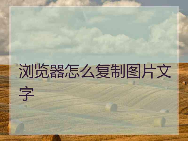 浏览器怎么复制图片文字