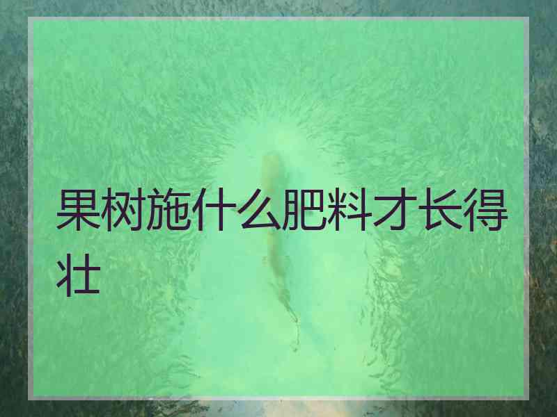 果树施什么肥料才长得壮