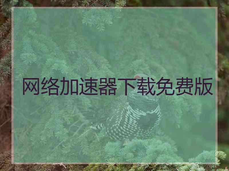 网络加速器下载免费版