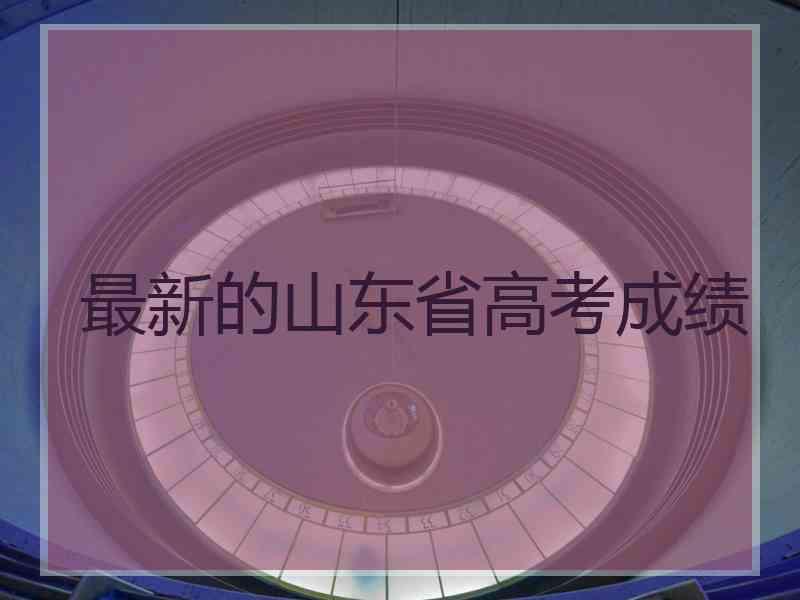 最新的山东省高考成绩