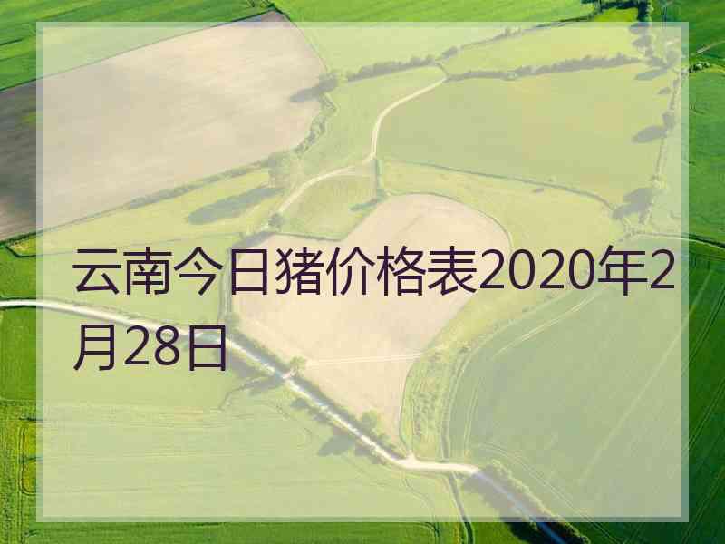 云南今日猪价格表2020年2月28日