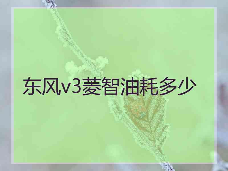 东风v3菱智油耗多少