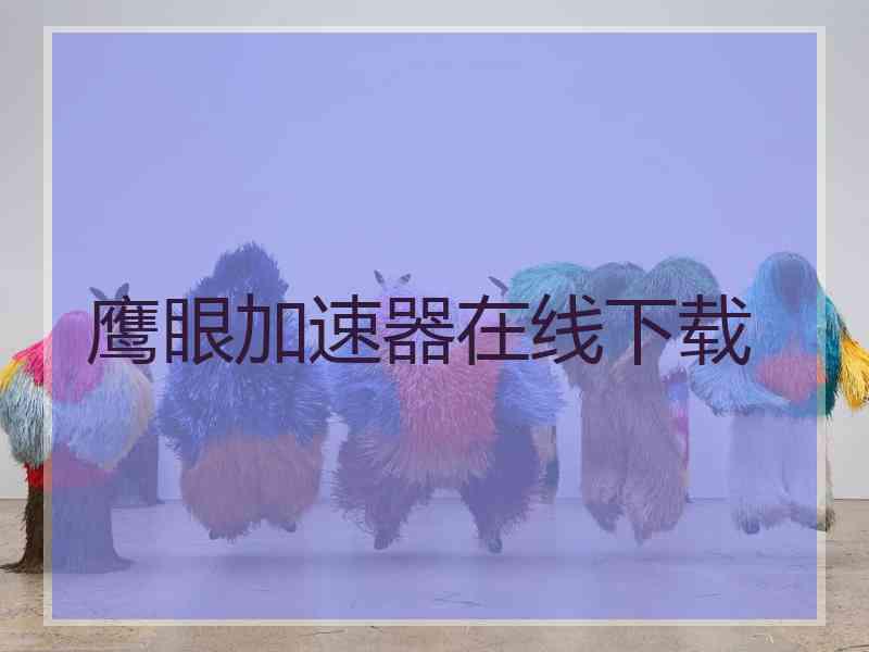 鹰眼加速器在线下载