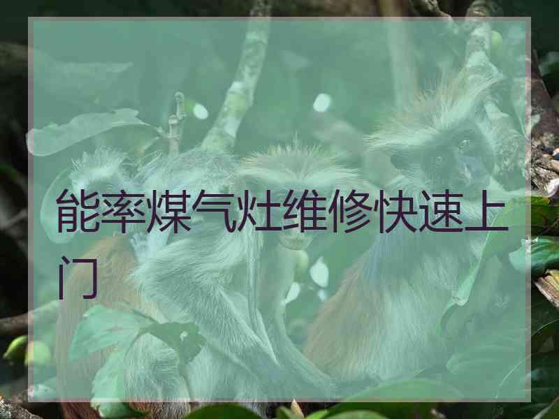 能率煤气灶维修快速上门