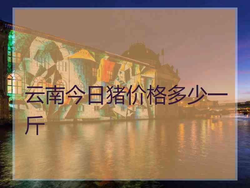 云南今日猪价格多少一斤