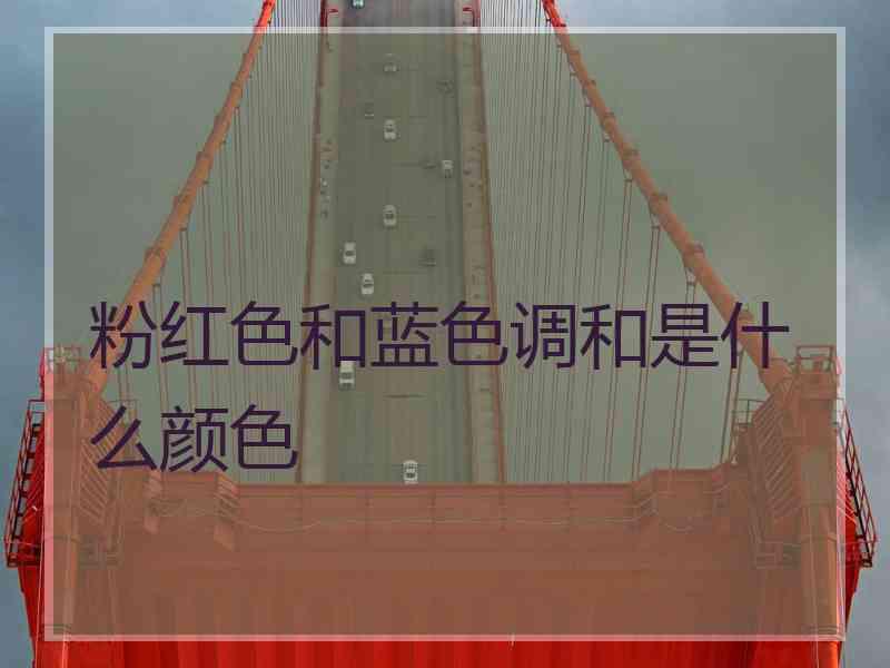 粉红色和蓝色调和是什么颜色
