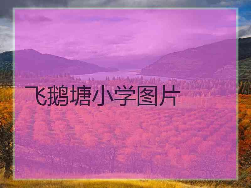 飞鹅塘小学图片