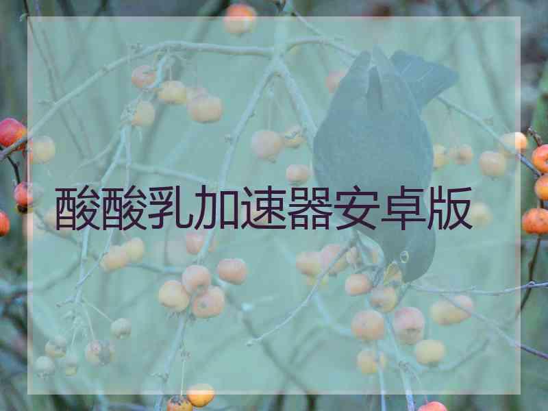 酸酸乳加速器安卓版