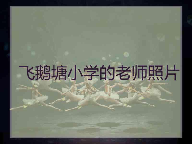 飞鹅塘小学的老师照片
