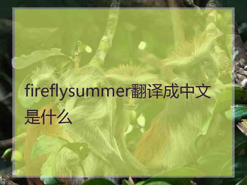 fireflysummer翻译成中文是什么