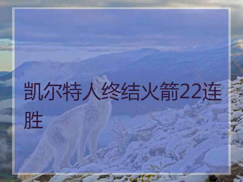 凯尔特人终结火箭22连胜