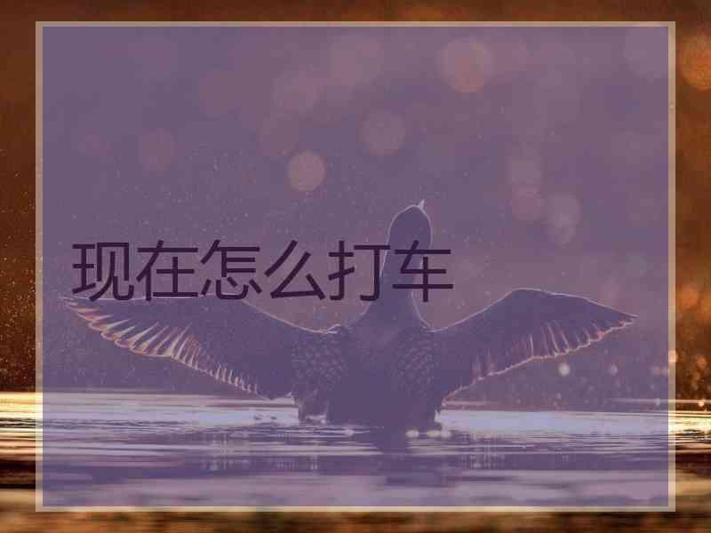 现在怎么打车