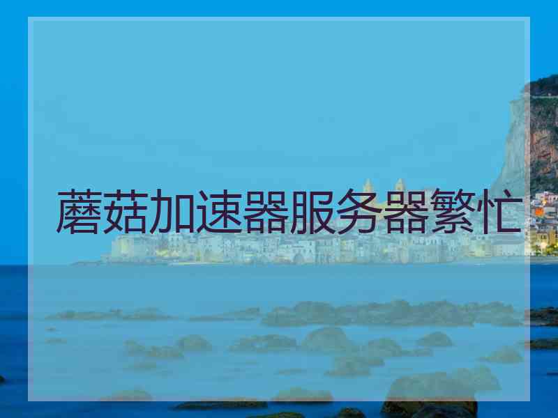 蘑菇加速器服务器繁忙