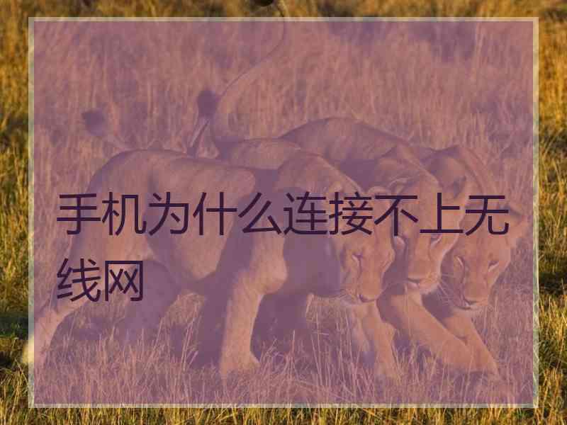 手机为什么连接不上无线网