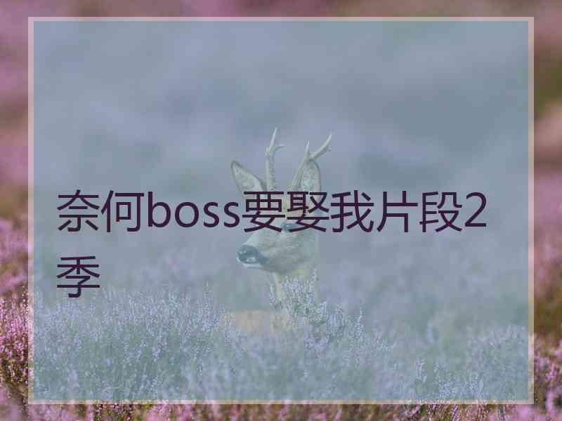 奈何boss要娶我片段2季