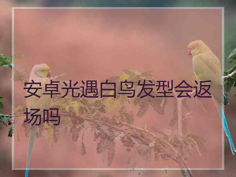 安卓光遇白鸟发型会返场吗
