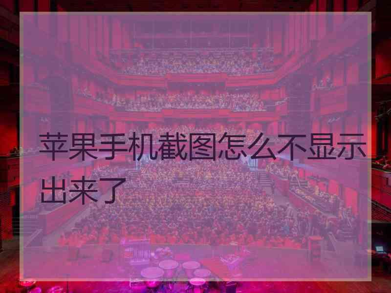 苹果手机截图怎么不显示出来了