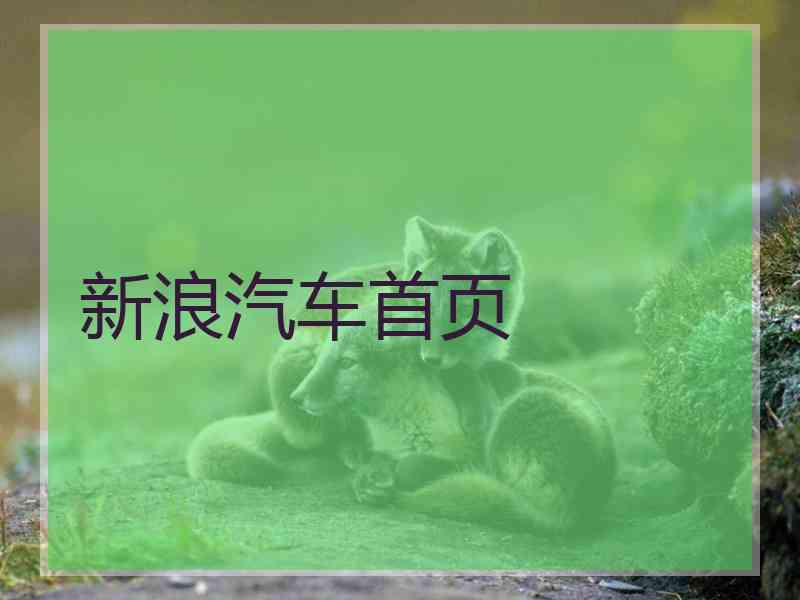 新浪汽车首页