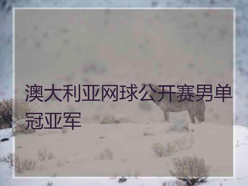 澳大利亚网球公开赛男单冠亚军