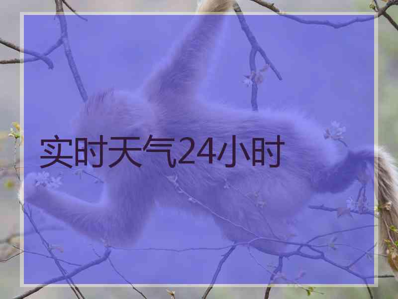 实时天气24小时