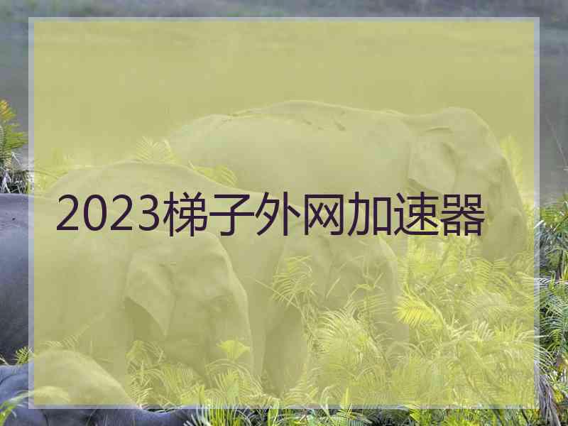 2023梯子外网加速器