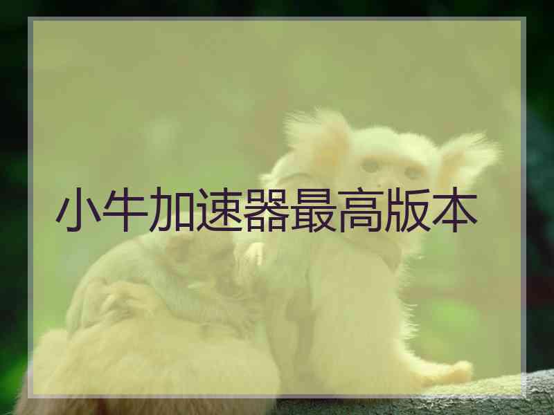 小牛加速器最高版本