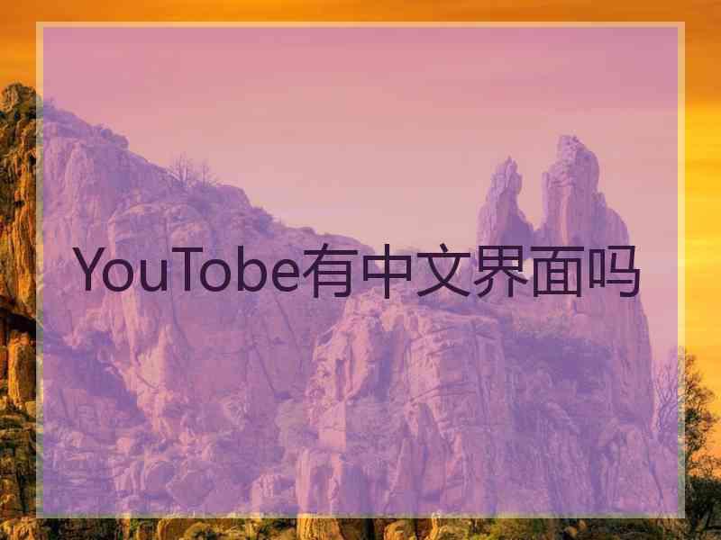 YouTobe有中文界面吗