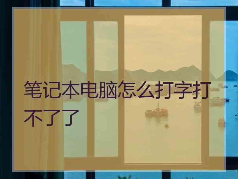 笔记本电脑怎么打字打不了了