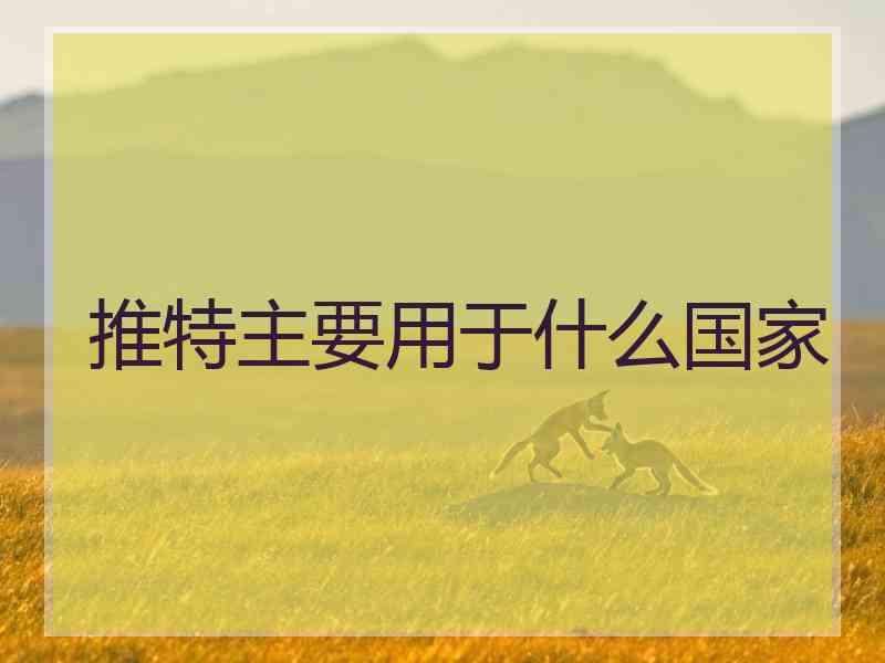 推特主要用于什么国家