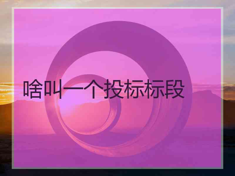啥叫一个投标标段