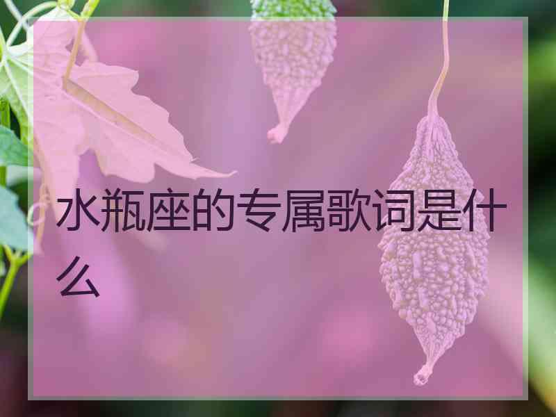 水瓶座的专属歌词是什么