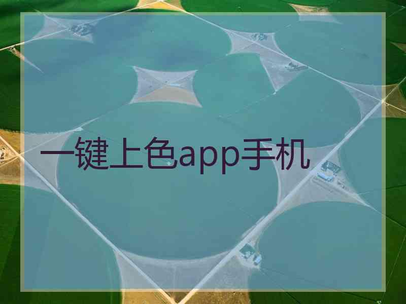 一键上色app手机