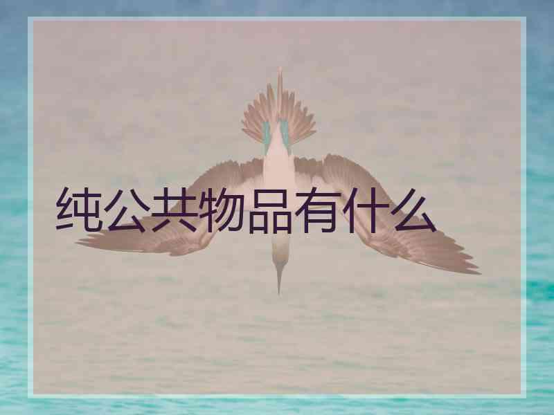 纯公共物品有什么