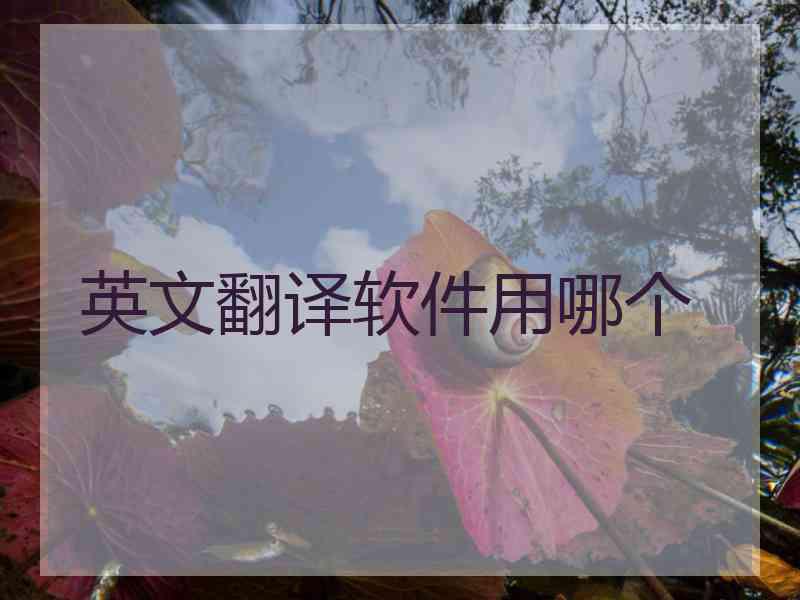 英文翻译软件用哪个
