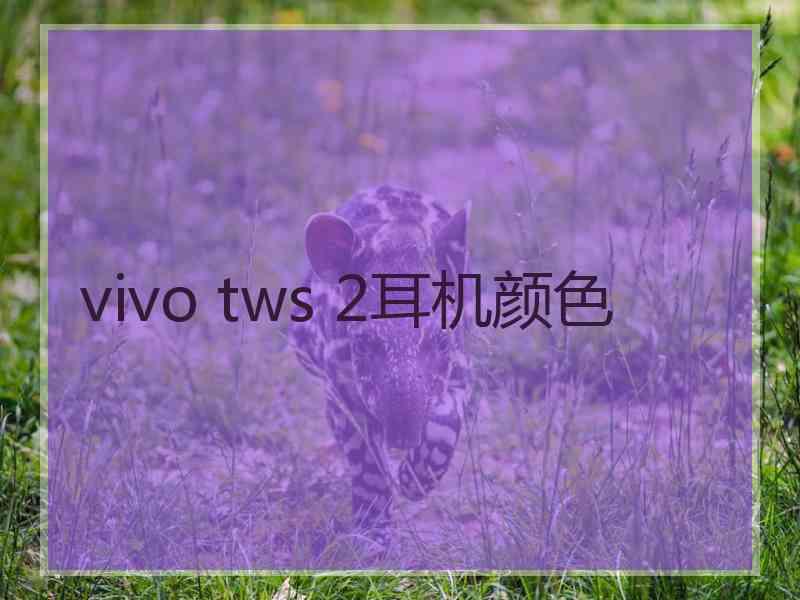 vivo tws 2耳机颜色